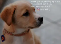 PSA 10 Galarian Zapdos V SR SA 076/070 S5a Peerless Fighters Pokemon Japanese - Image 2