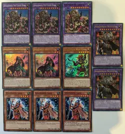 YuGiOh 11 Card Amazoness Set/Lot - Image 1