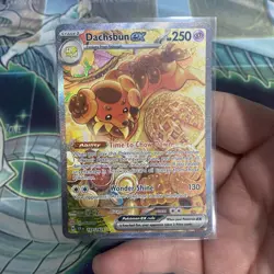 2024 Pokemon Scarlet & Violet Stellar Crown Dachsbun ex #169/142 - Image 1