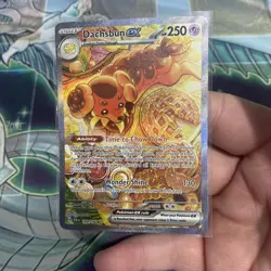 2024 Pokemon Scarlet & Violet Stellar Crown Dachsbun ex #169/142 - Image 2