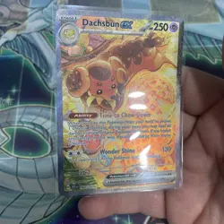 2024 Pokemon Scarlet & Violet Stellar Crown Dachsbun ex #169/142 - Image 5