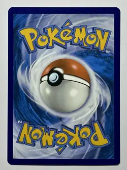 Sprigatito 001/015 (NM) Holo Rare Scarlet & Violet: McDonald’s Promo 2024 - Image 2