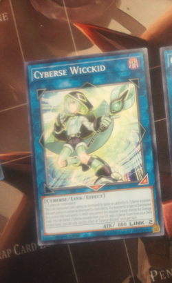 Cyberse Wicckid - SAST-EN044 - Common - 1st Edition - Image 1