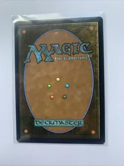 MTG 1x Walk-In Closet/Forgotten Cellar BORDERLESS(M/NM)Duskmourn House of Horror - Image 2