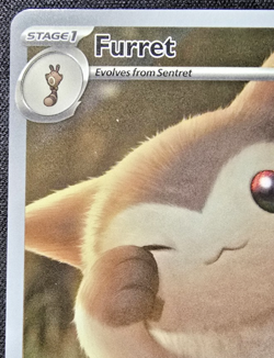 Furret Illustration Rare 168/159 NM - 2025 Pokemon TCG Journey Together - Image 2