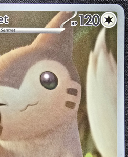 Furret Illustration Rare 168/159 NM - 2025 Pokemon TCG Journey Together - Image 3