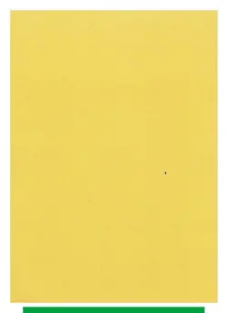 NM-EX Maractus - Pokemon Kids Sticker Seal 2011 BANDAI TCG Japanese #243 - Image 2