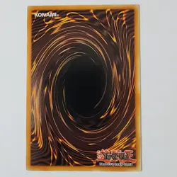 Butterfly Fish - ROTA-EN088 - NM - Common - 1st ed - Yugioh - Image 2