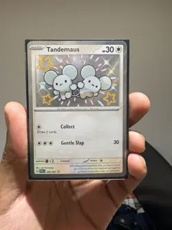 Tandemaus 209/091 Paldean Fates Pokemon Card - Holo Shiny Rare (Near Mint) - Image 1