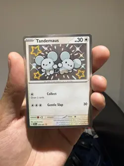 Tandemaus 209/091 Paldean Fates Pokemon Card - Holo Shiny Rare (Near Mint) - Image 2