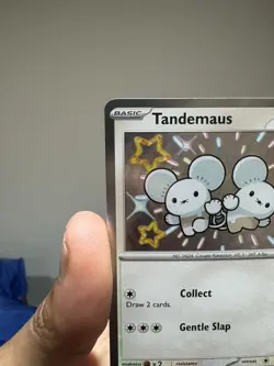 Tandemaus 209/091 Paldean Fates Pokemon Card - Holo Shiny Rare (Near Mint) - Image 4