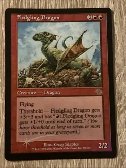 Fledgling Dragon Foil Judgement - Near Mint - Image 1
