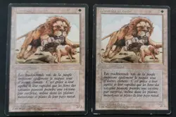 MTG Vintage Oldschool - x2 Lions des savanes / Savannah Lions - FBB - VF - Poor - Image 1