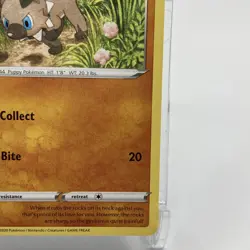 Rockruff Non-Holographic Common 029/073 Pokemon TCG Champions Path NM - Image 5