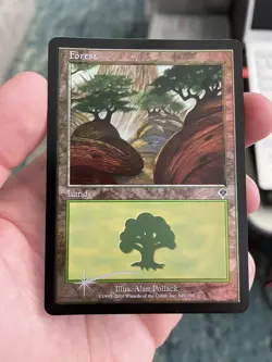 MTG Forest (349) - Foil, Invasion - Image 1
