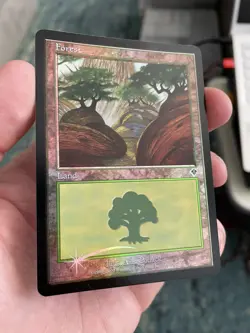 MTG Forest (349) - Foil, Invasion - Image 2