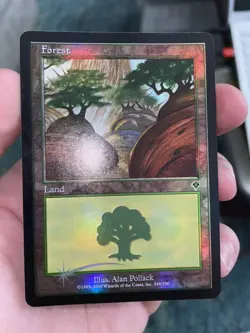 MTG Forest (349) - Foil, Invasion - Image 3