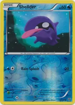 Pokemon - Shellder - 31/146 - Common - Reverse Holo - XY - Base Set - NM - Image 1