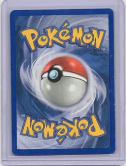 Pokemon Card - Mudkip - 018 - Promo - 2004 - Holo - Image 2