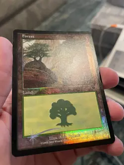 Magic The Gathering: FOIL Forest #349 - Image 3