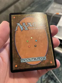 Magic The Gathering: FOIL Forest #349 - Image 4