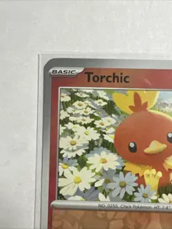 Torchic 022/159 Reverse Holo Card Journey Together JTG Pokemon TCG NM - Image 3
