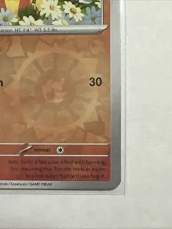Torchic 022/159 Reverse Holo Card Journey Together JTG Pokemon TCG NM - Image 5
