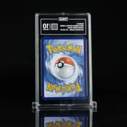 TAG 10 Raikou V Pokemon TCG Crown Zenith Holo Full Art Ultra Rare Card GG41/GG70 - Image 2