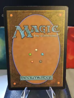 MTG Magic the Gathering Arid Mesa (244/686) Modern Horizons 2 LP - Image 2