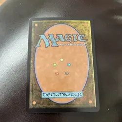 Wan Shi Tong, Librarian - Borderless Foil - MTG Avatar: TLA NM - ON HAND - Image 2