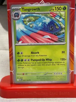 Mega Evolutions Pokemon 2025: Choose Your Card - Image 5