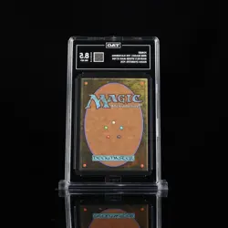 TAG Graded 8.5 Marvel's Spider-Man FOREST Symbiote Foil Secret Lair MTG TCG - Image 2