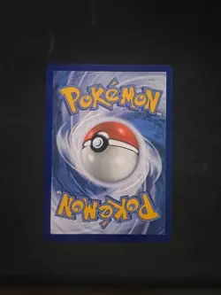 Bulbasaur 143/142 + Squirtle 148/142 Stellar Crown Pokemon Card NM Pack Fresh - Image 4