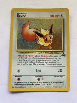 Pokemon Card Lot 18+ Holos Plus Base Cards Approx 60 Cards Total Houndoom & More - Image 3