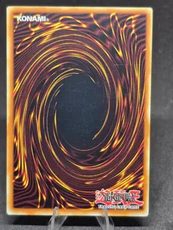 Yu-Gi-Oh! The Creator SDRL-EN014 Rise of the Dragon Lords 1st Edition NM - Image 2