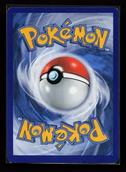 Team Magma's Camerupt 2/34 Holo Rare Double Crisis Pokemon Card - Image 2