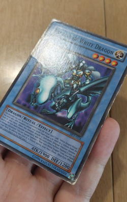 Paladin of White Dragon SKE-024 YuGiOh card (MP/HP) - Image 4