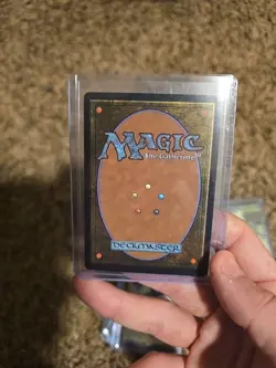 The Cabbage Merchant - Foil - NM - MTG: Avatar - Image 2