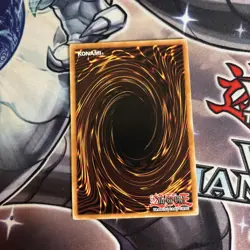 (EF) Toon Dark Magician Girl GLD4-EN015 Common LP - Image 2