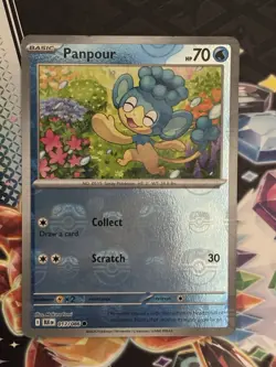 🔥Panpour 017/086 Master Ball Pattern Pokemon Sv: Black Bolt English NM+🔥 - Image 1