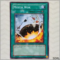 Mystik Wok - SDRL-EN028 - Common 1st Edition Yugioh - Image 1