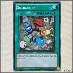 Solidarity - SDLS-EN031 - Common 1st Edition Yugioh - Image 1
