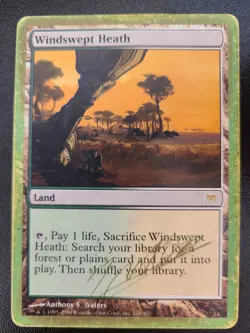 Windswept Heath PL World Championship MTG Magic the Gathering Land English Card - Image 1