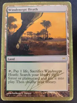 Windswept Heath PL World Championship MTG Magic the Gathering Land English Card - Image 2