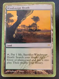 Windswept Heath PL World Championship MTG Magic the Gathering Land English Card - Image 3