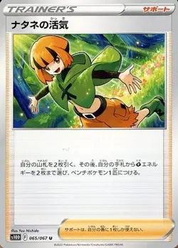 Gardenia 065/067 S10D Time Gazer Pokemon TCG Japanese Card - Image 1