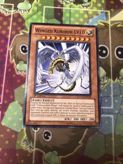 Winged Kuriboh LV10 - [1st Edition] - LCGX-EN010 - Common - Image 1