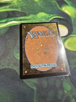Wan Shi Tong, Librarian #78 Non-Foil MTG: Avatar (TLA) NM - Image 4