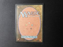 Aura of Silence Korean LP/MP [Weatherlight] Mtg Magic Free Tracking! - Image 3