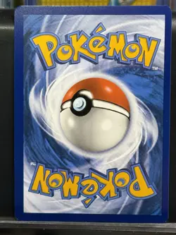 Pokemon TCG Pyroar 200/193 Paldea Evolved Illustration Rare - Image 2